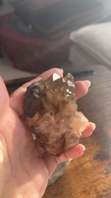 Natural Kundalini Citrine Shield Cluster 🛡️✨