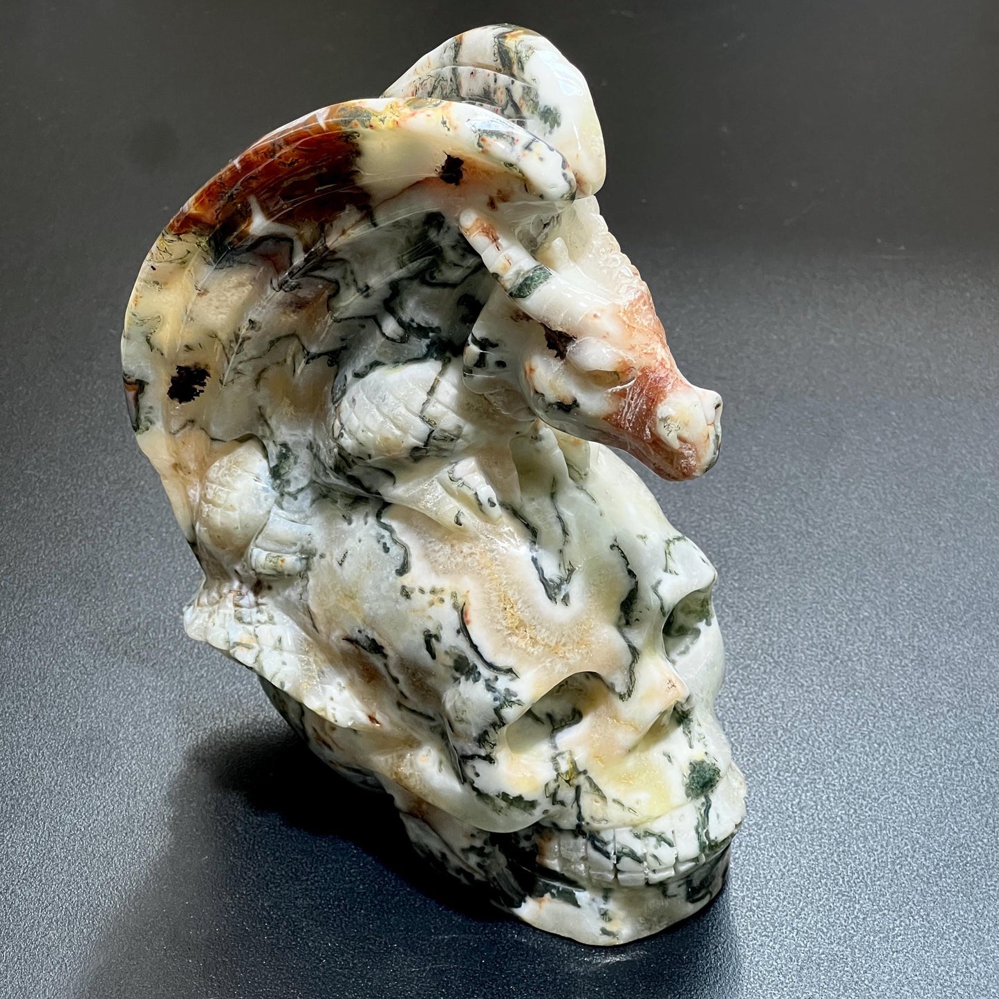 Large Skull and Dragon Carving Red Moss Agate