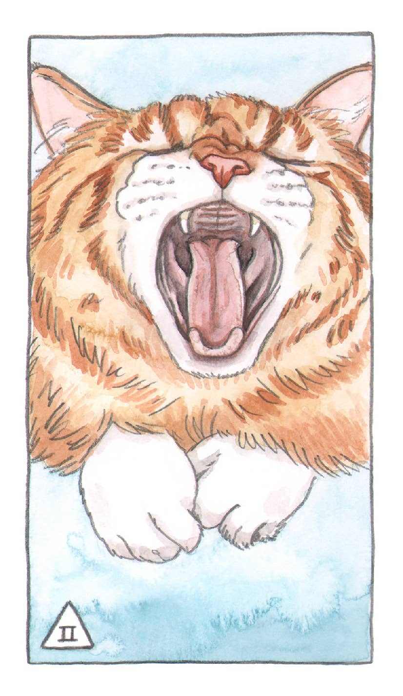 Cat Tarot Deck