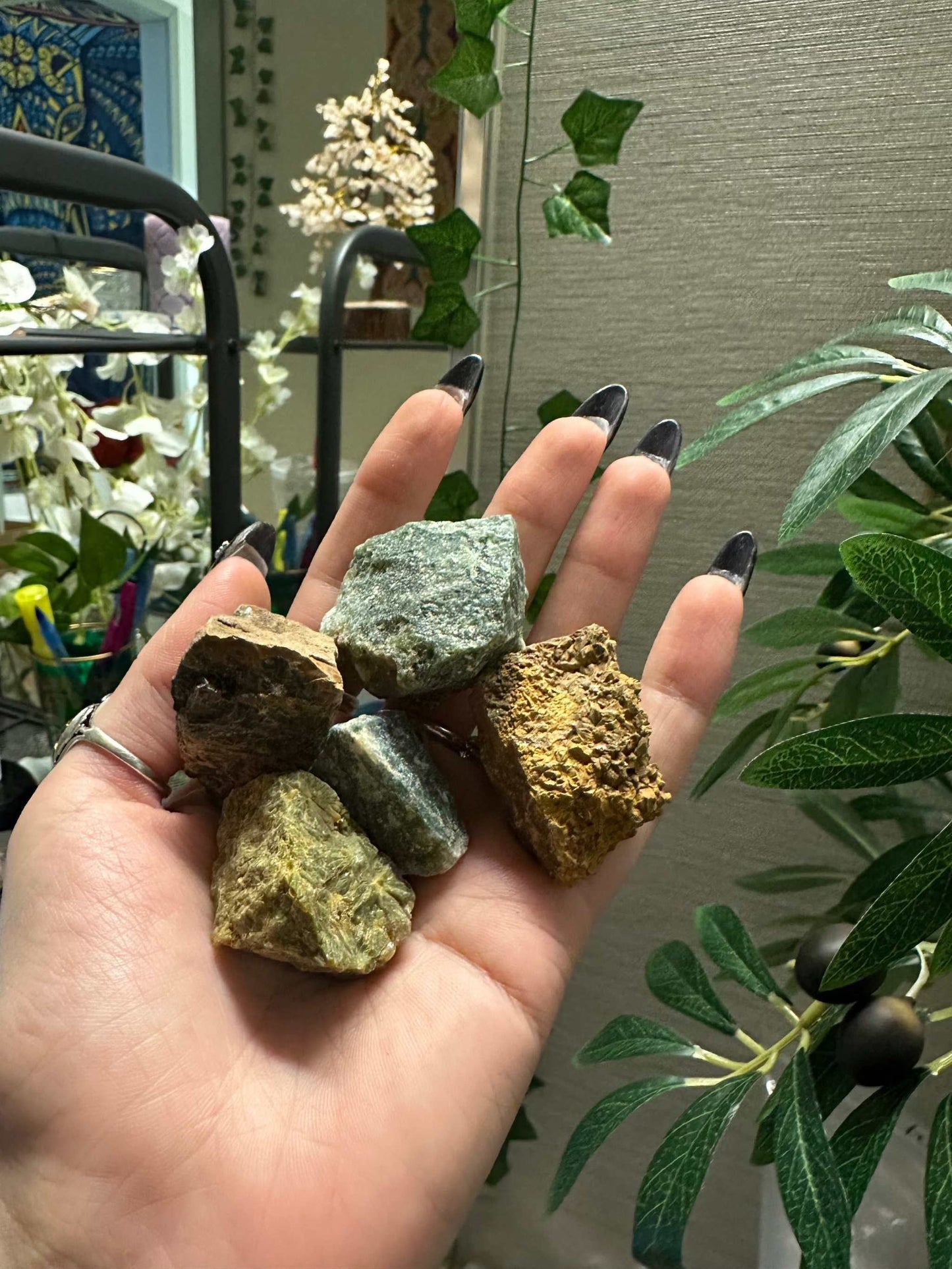 Ocean Jasper Rough Pocket Stone