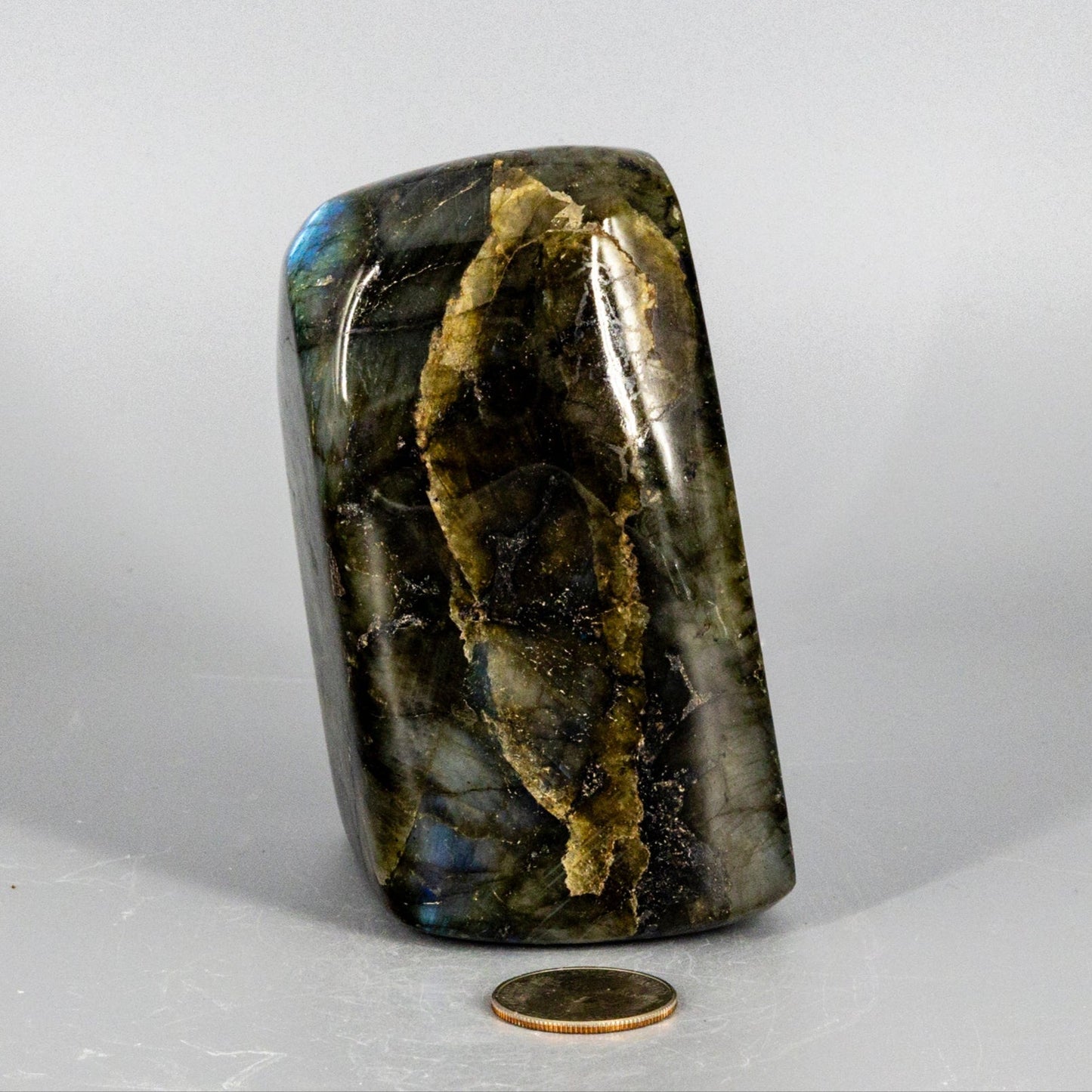 Labradorite "XL" High Flash Freeform