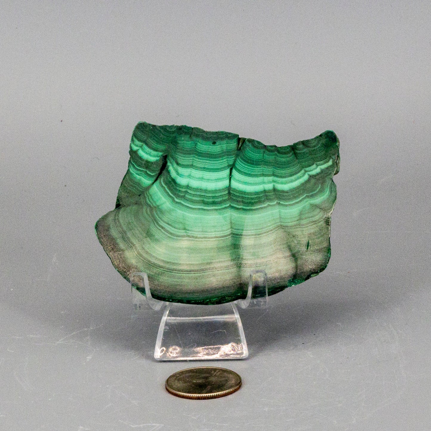 Malachite Slices, Polished Healing Stone