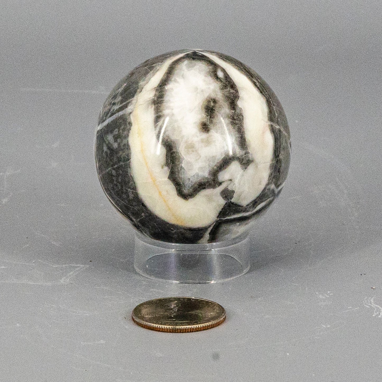 Shell Stone Crystal Sphere 54mm