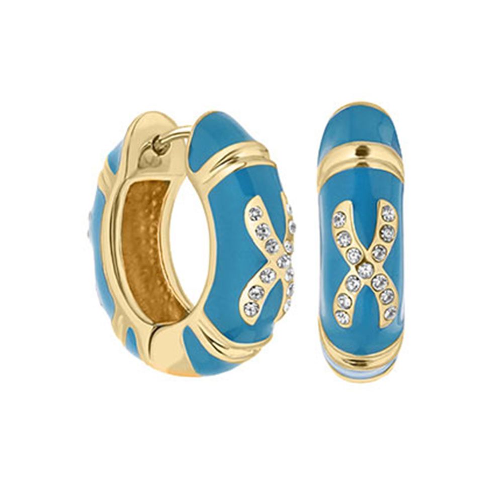 Elegant Hugs Earrings