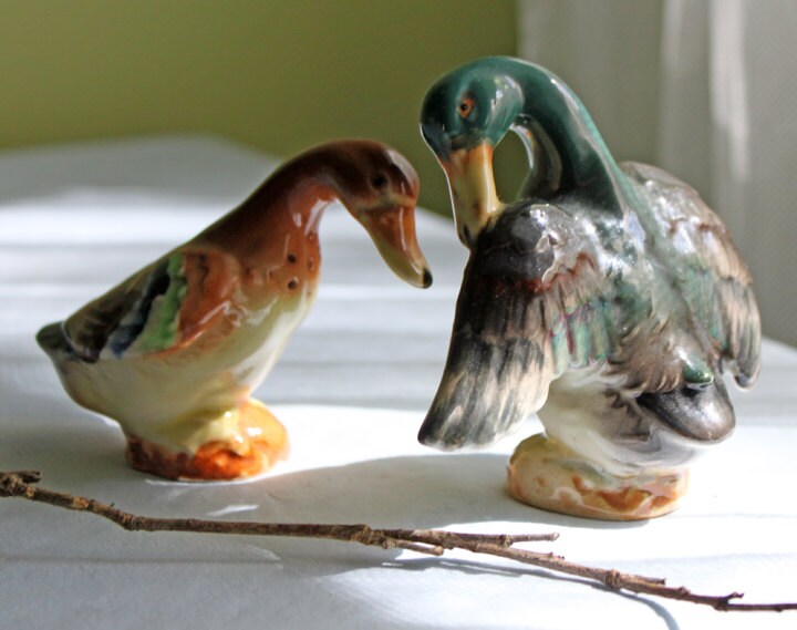 Salt and Pepper Frog Shakers. Funky Shakers.