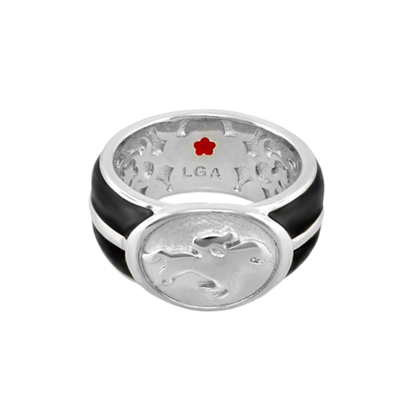 Equestrian Ring