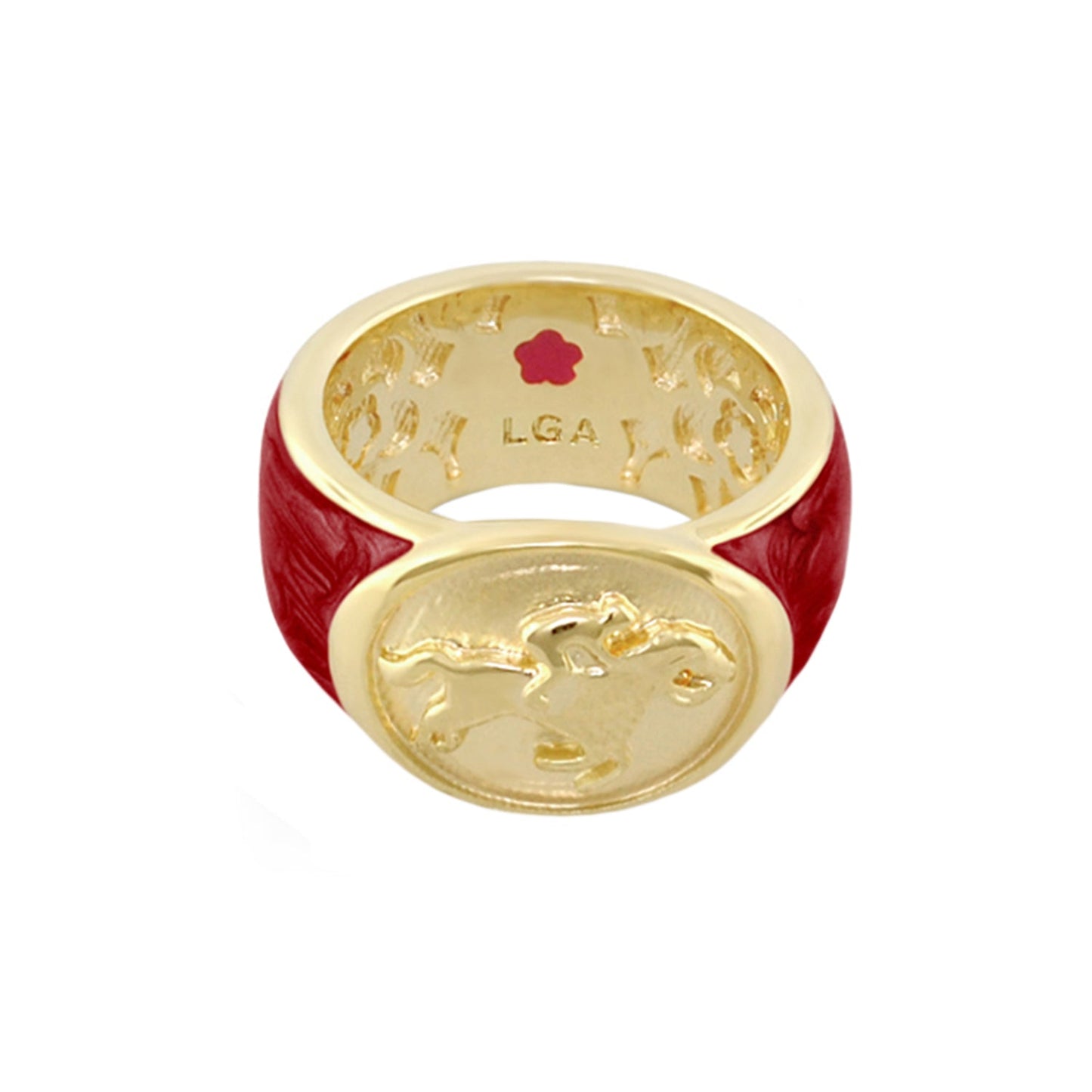 Equestrian Ring