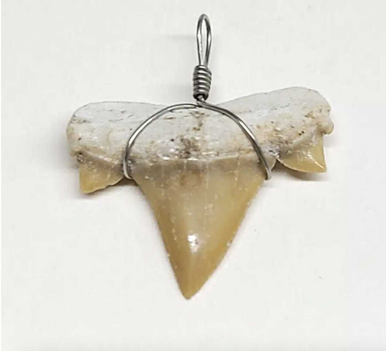 Shark Tooth Necklace