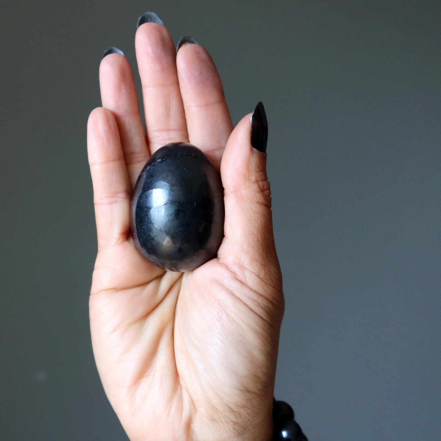 Shungite Egg Home EMF Protector Black Stone