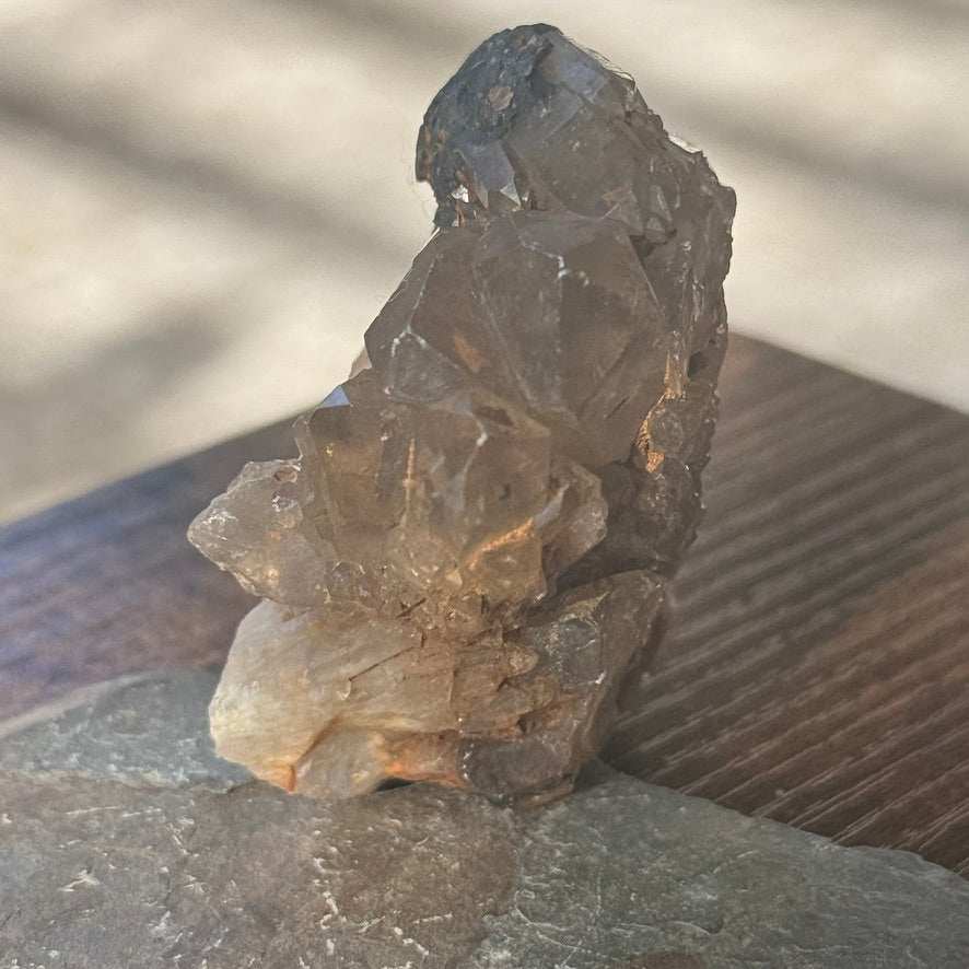 Natural Kundalini Citrine Shield Cluster 🛡️✨