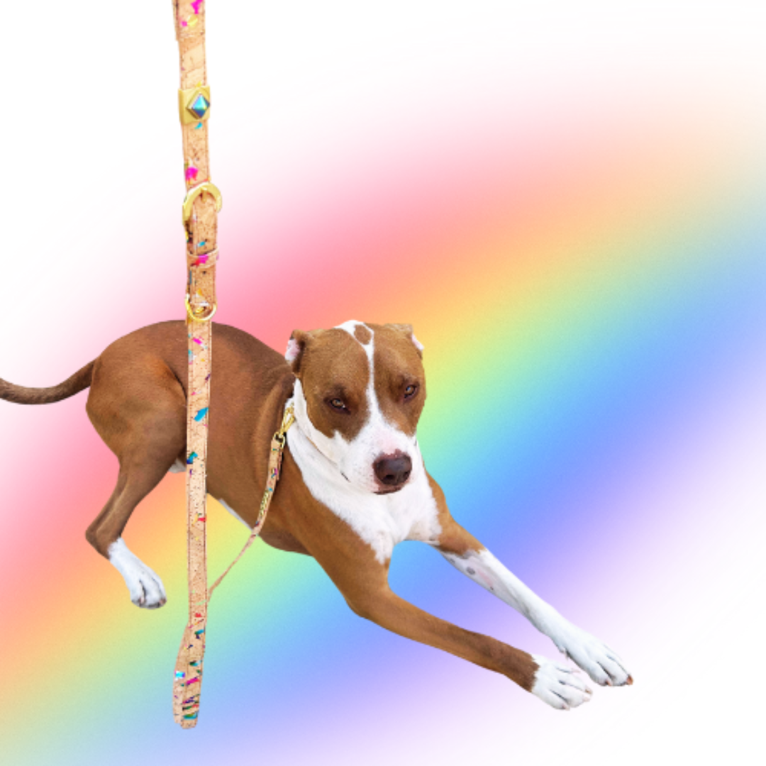 Rainbow Pride Cork Leather Leash