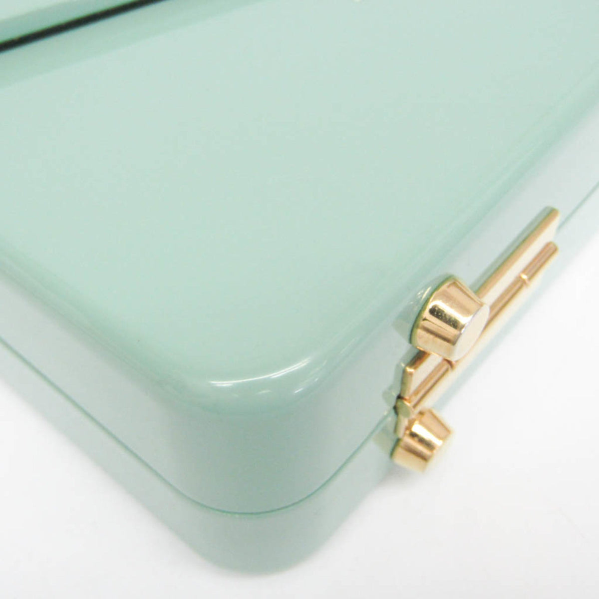 PRE-OWNED Gucci Sylvie 1969 · Acrylic Mini