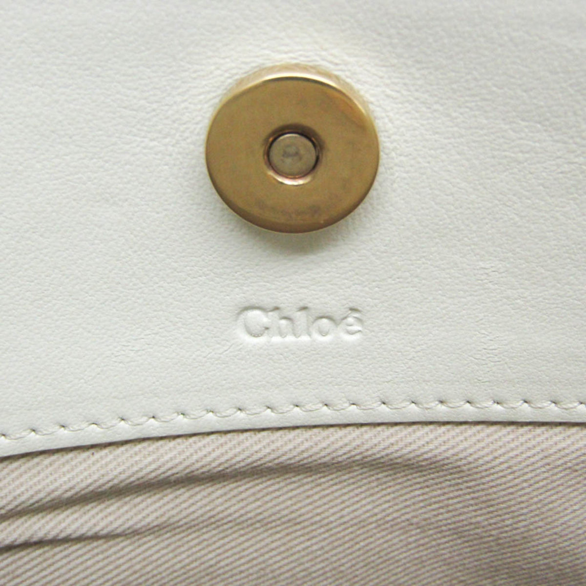PRE-OWNED Chloé Roy · Leather & Suede