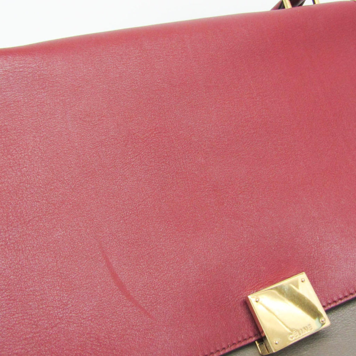 PRE-OWNED Celine Trapeze · Leather & Suede