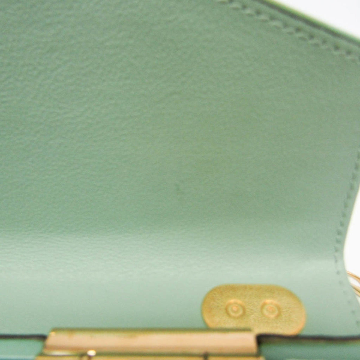 PRE-OWNED Gucci Sylvie 1969 · Acrylic Mini