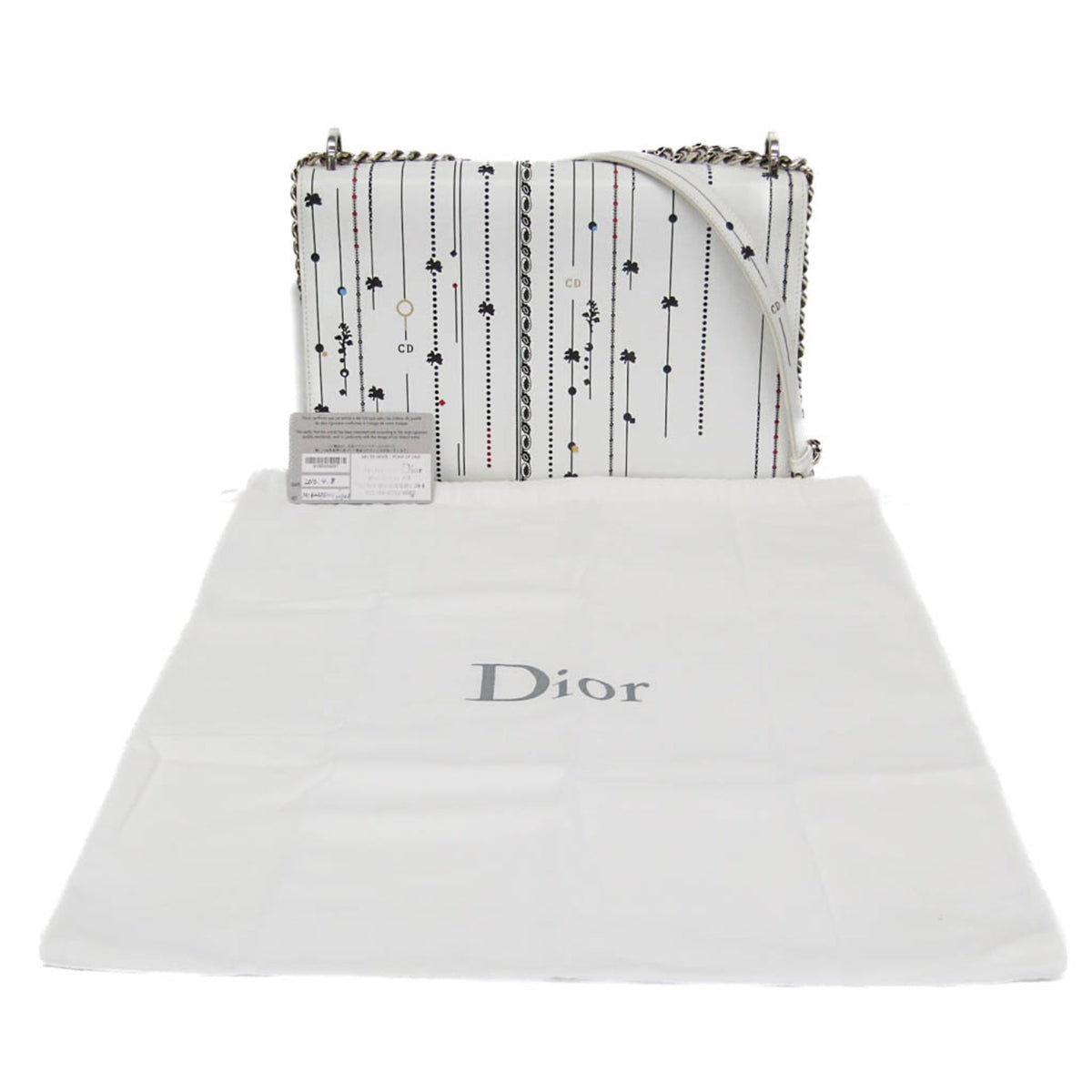 PRE-OWNED Christian Dior Diorama · Chain Shoulder Bag