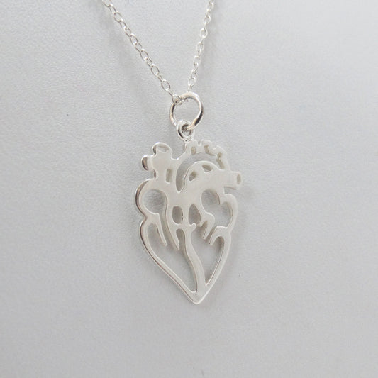 Open Anatomical Heart Necklace – Sterling Silver Medical Heart Pendant on 16" Chain