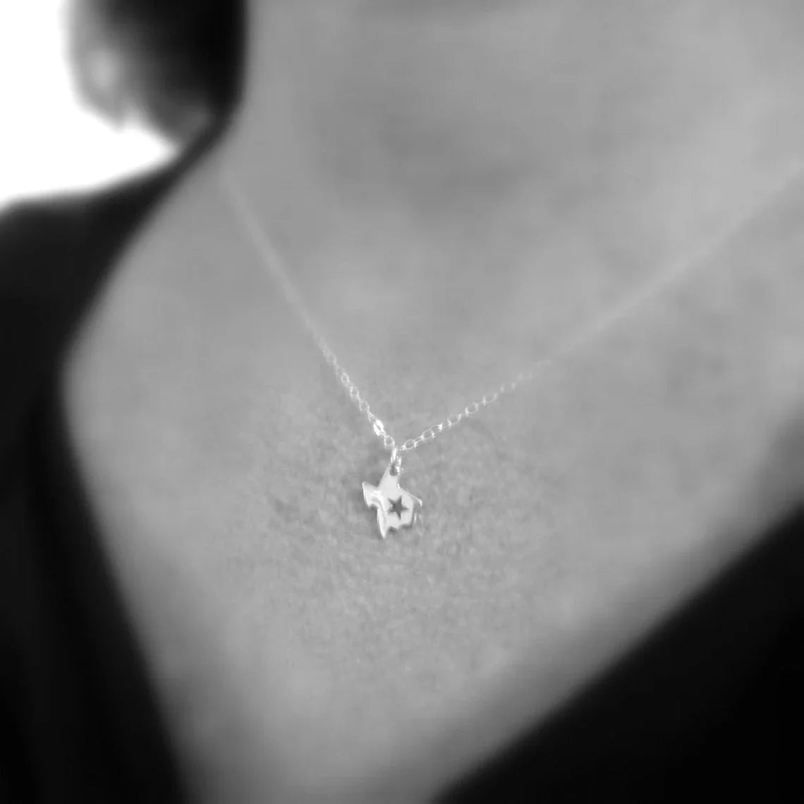 Texas State Necklace – Sterling Silver Charm with Star Cutout on 16" Chain