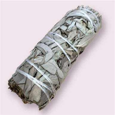 White Sage Smudge Stick (4 in.)