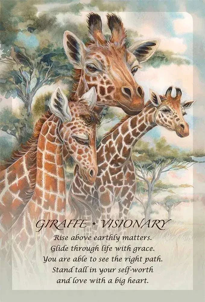 Spirit Of The Animals Oracle Deck