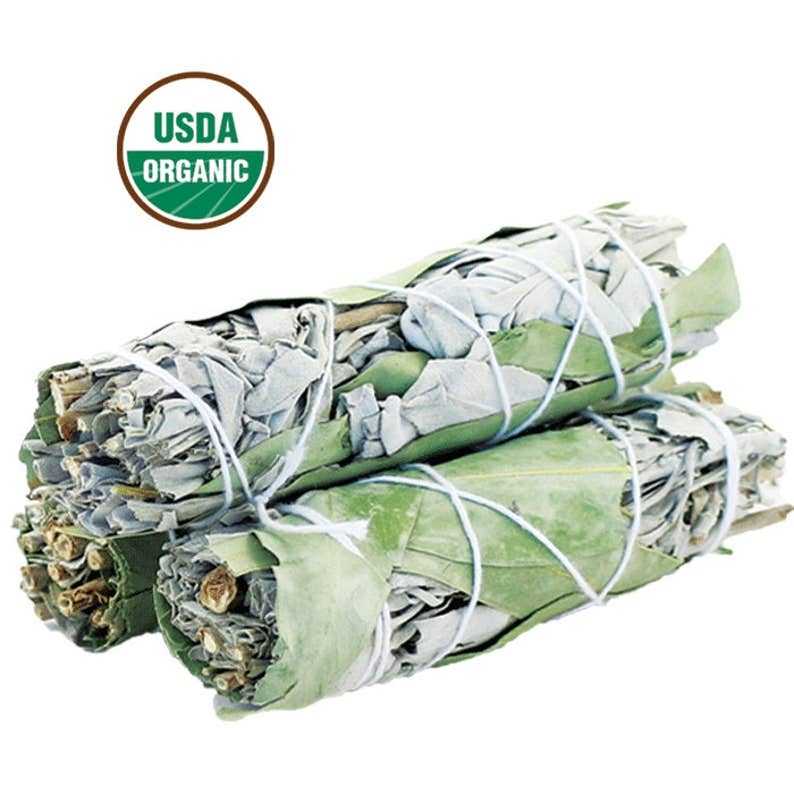 White Sage & Eucalyptus Smudge Stick (4 in.)