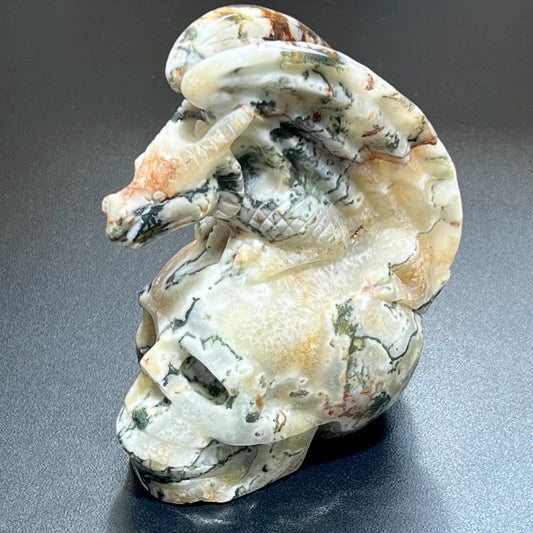 Large Skull and Dragon Carving Red Moss Agate