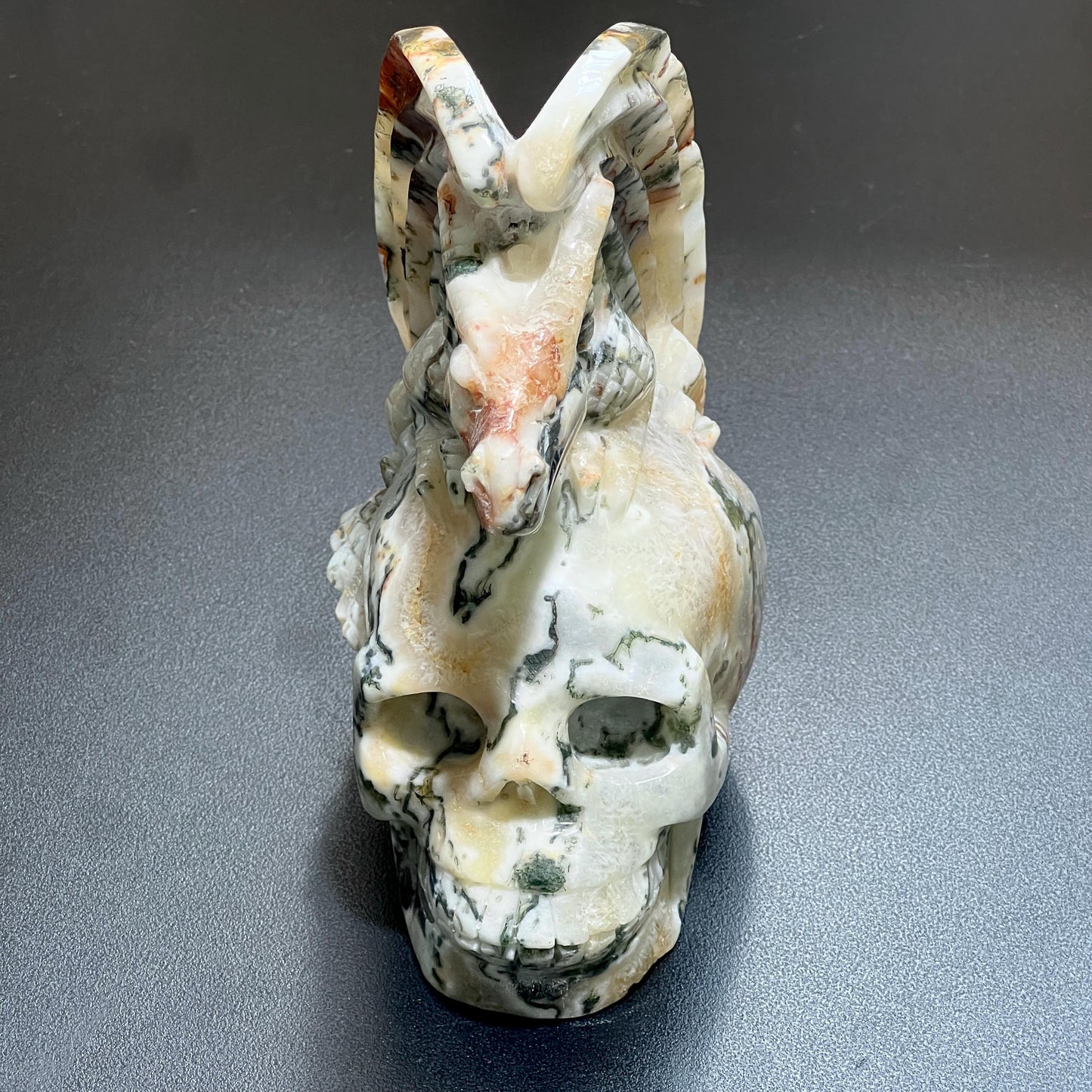 Large Skull and Dragon Carving Red Moss Agate