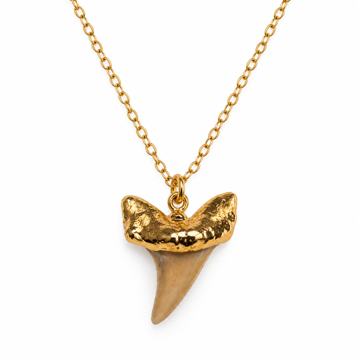 Genuine Shark Tooth Necklace – Gold Filled