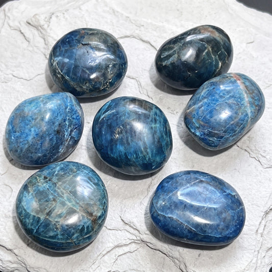 Blue Apatite Large Freeform Tumbled Palm Stones (2 to 2.5 Inches) Carving