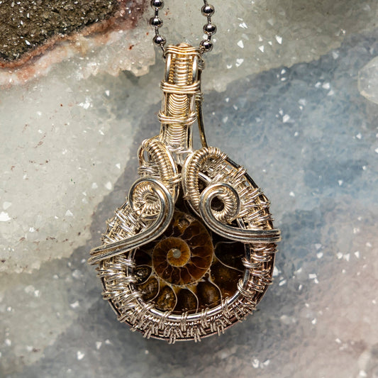 Ammonite Fossil Wire Wrap Crystal Pendant