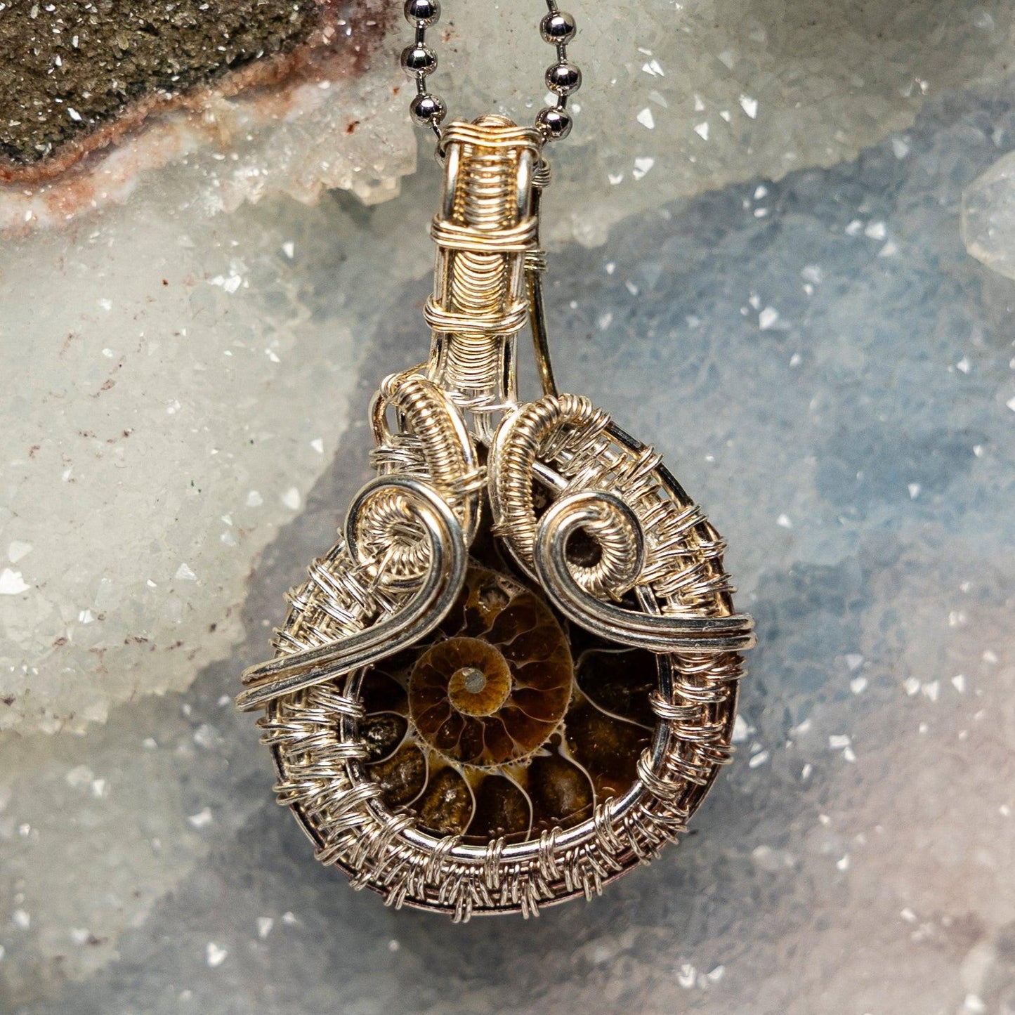 Ammonite Fossil Wire Wrap Pendant
