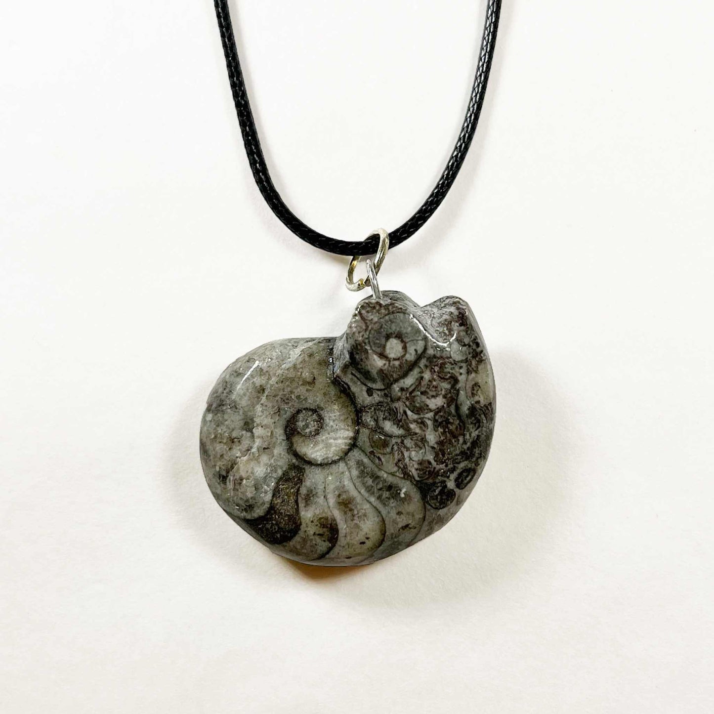 Ammonite/Goniatite Fossil Necklace