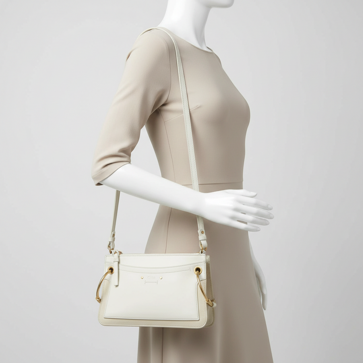 PRE-OWNED Chloé Roy · Leather & Suede