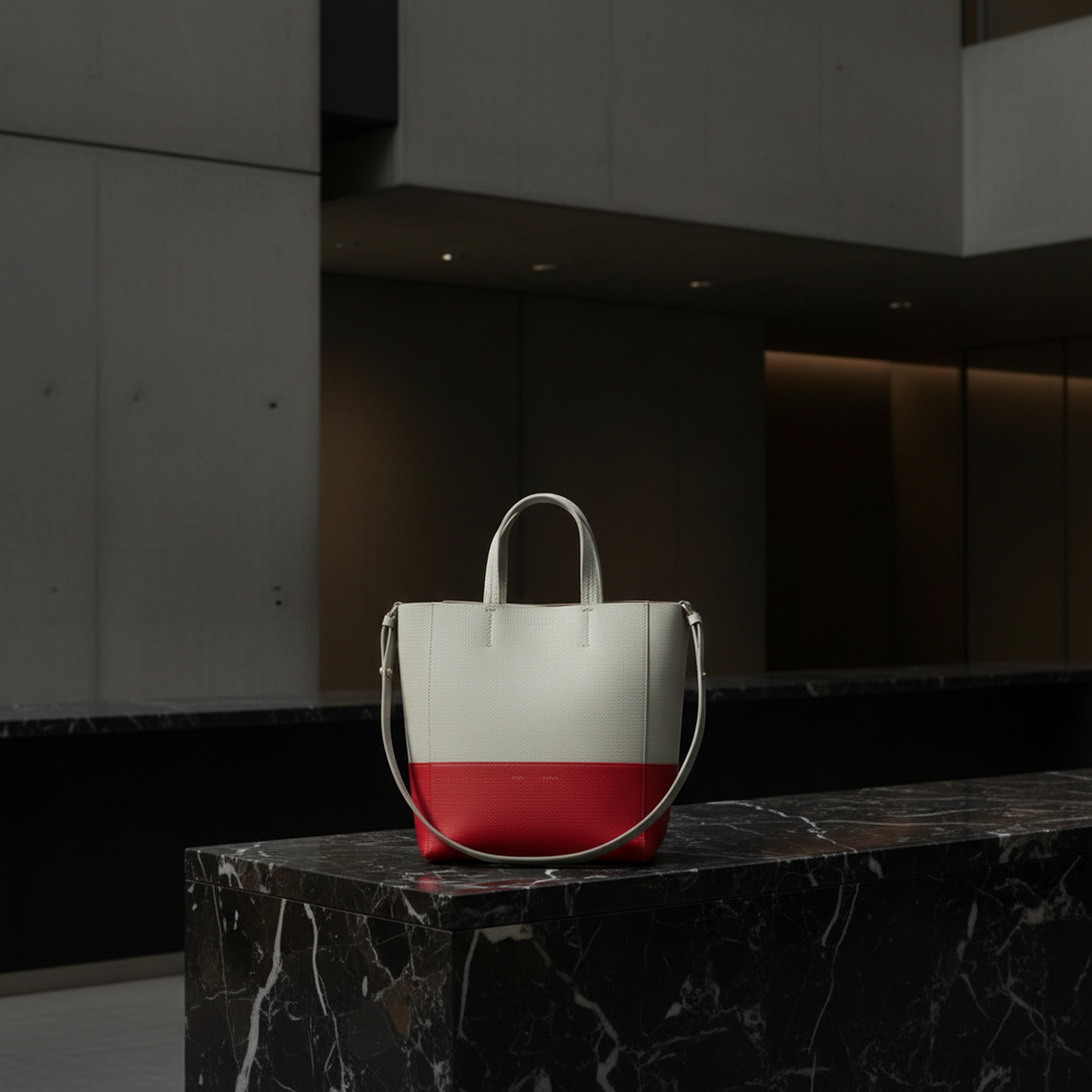 PRE-OWNED Celine Cabas Vertical · Bicolor Leather