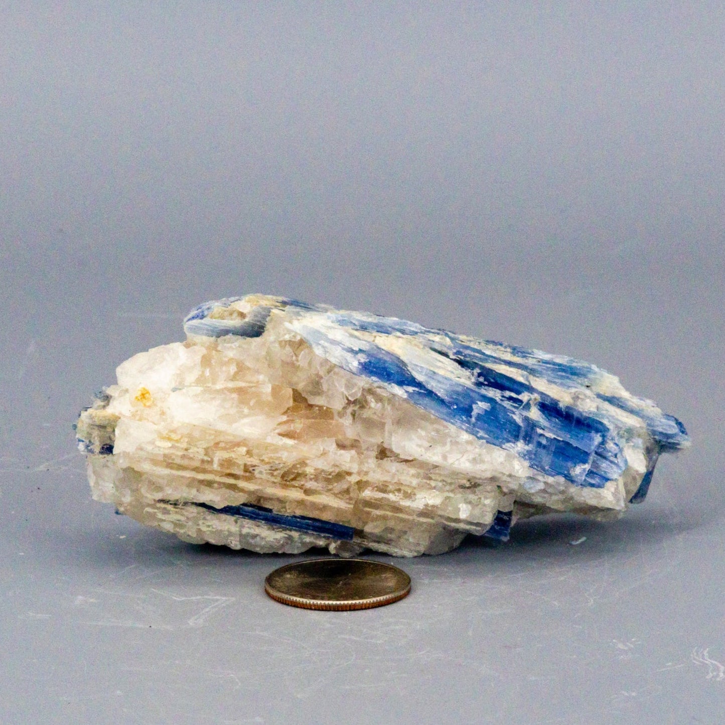 Beautiful Blue Kyanite Blades In Quartz Clusters