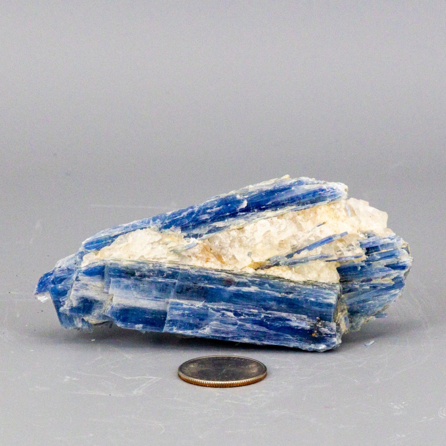 Beautiful Blue Kyanite Blades In Quartz Clusters