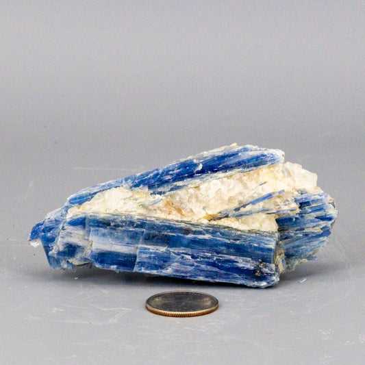 Beautiful Blue Kyanite Blades In Quartz Clusters