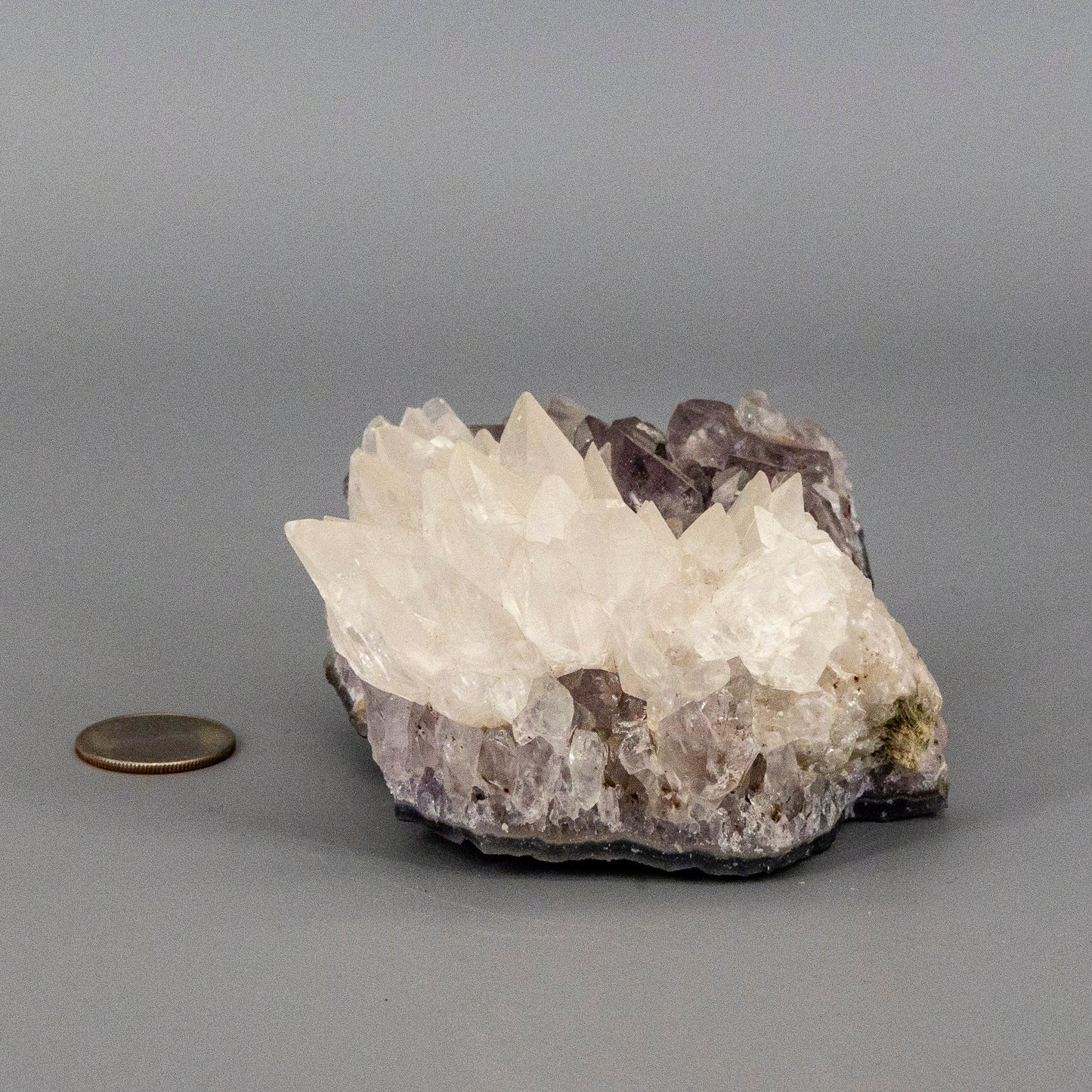 Dogtooth Calcite "Flower" on Amethyst Cluster - RARE!