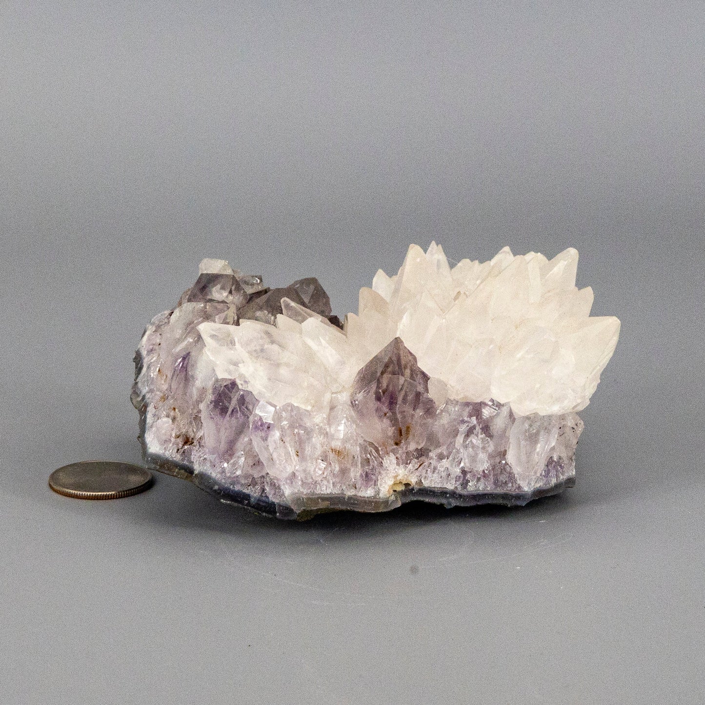 Dogtooth Calcite "Flower" on Amethyst Cluster - RARE!