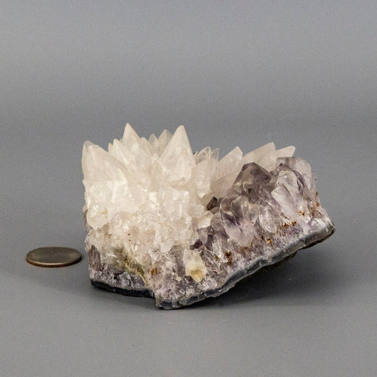 Dogtooth Calcite "Flower" on Amethyst Cluster - RARE!