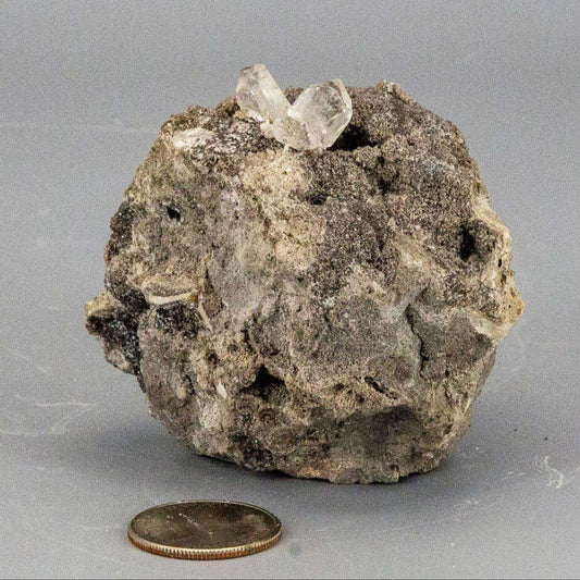 Herkimer Diamond Crystal in Matrix Host Rock Specimen