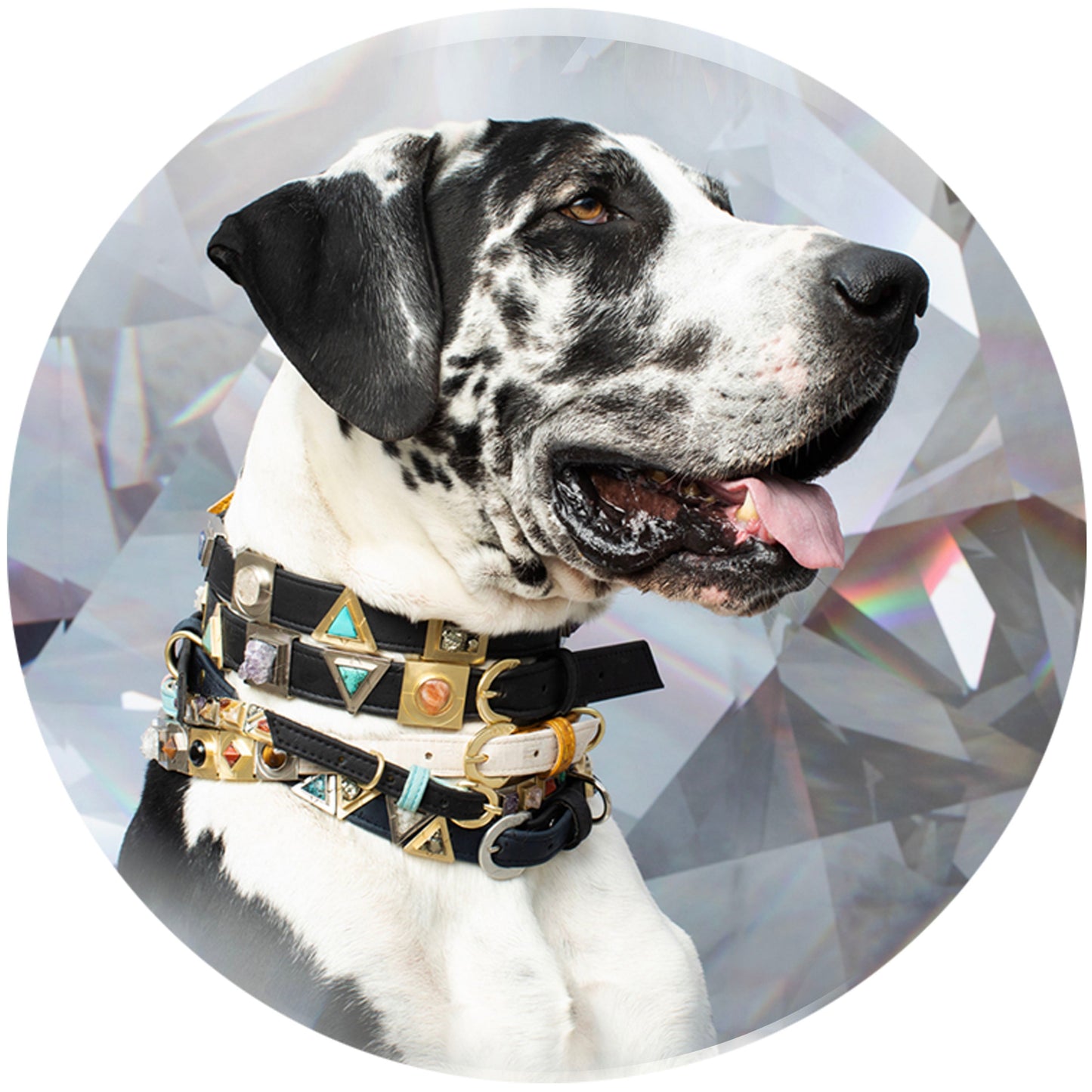 Diamond Cork Leather Collar