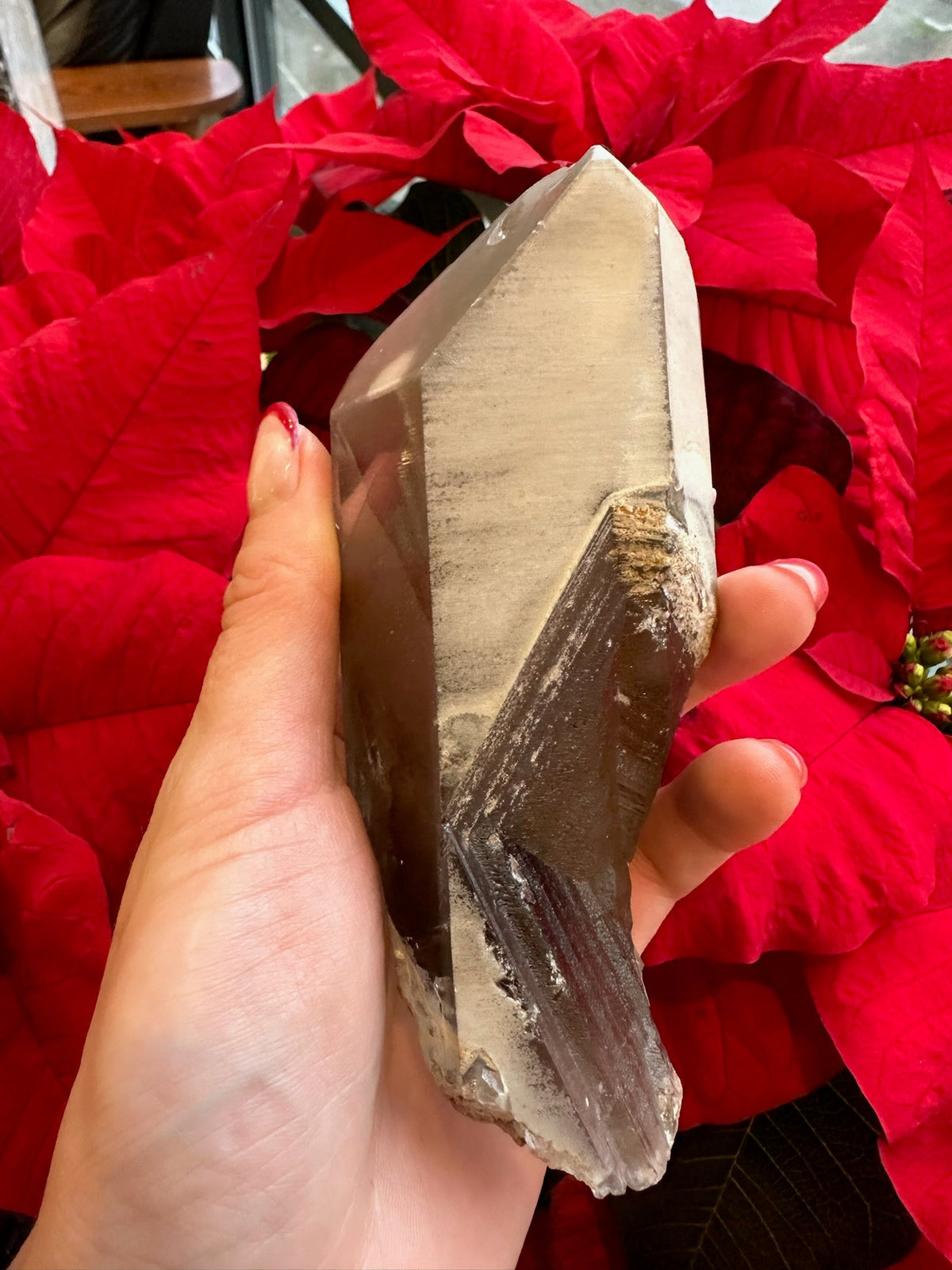 Lodalite Included Smoky Quartz with Phantoms 340g