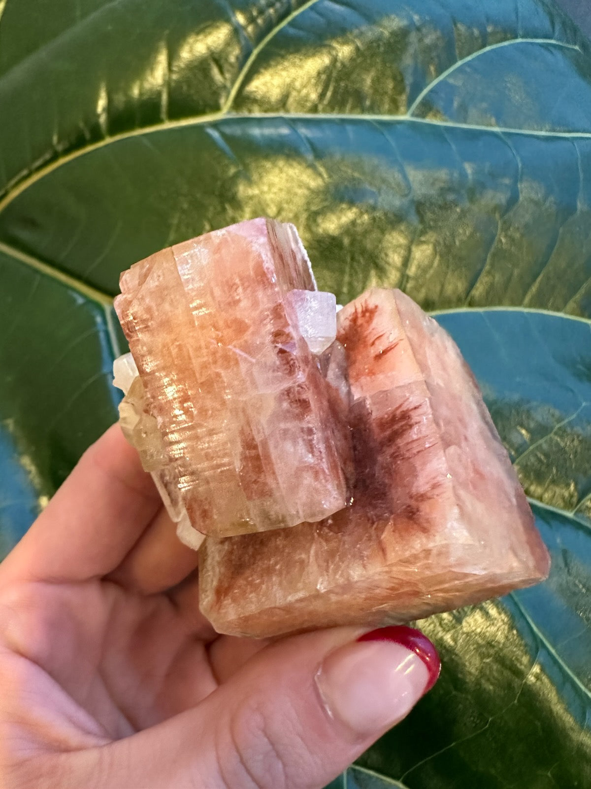 Red Apophyllite Cube (Md) from Pune, India