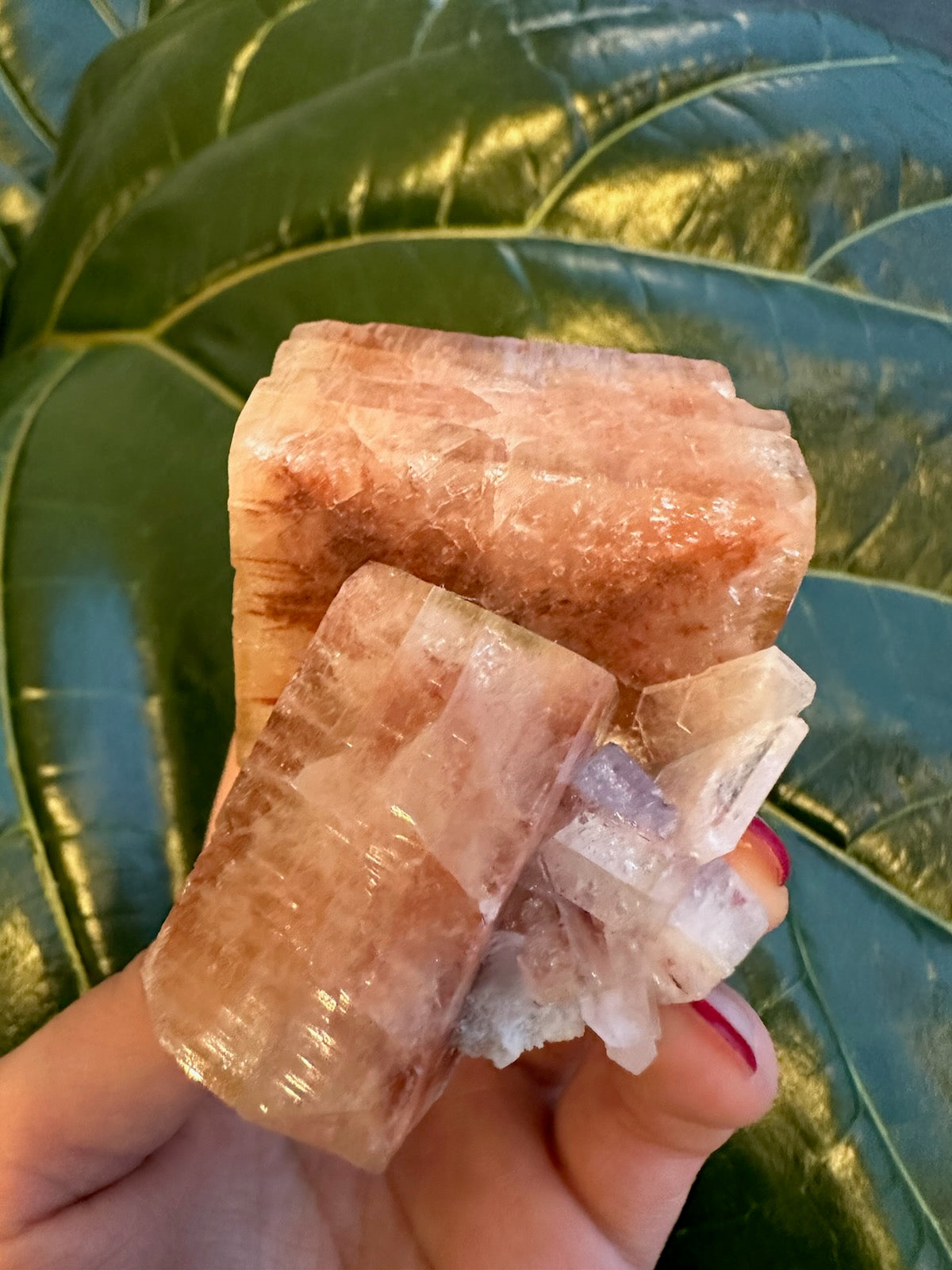 Red Apophyllite Cube (Md) from Pune, India