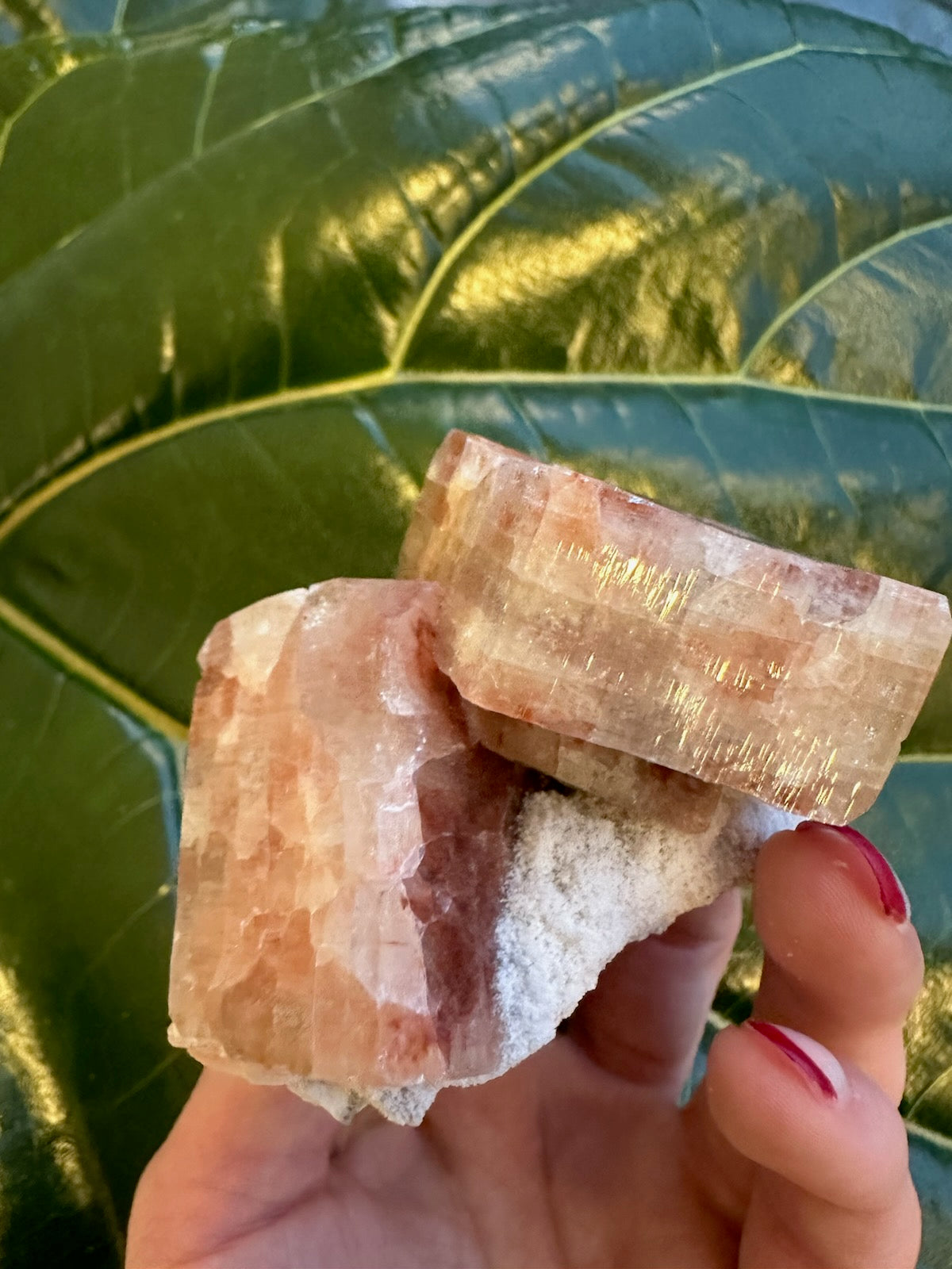 Red Apophyllite Cube (Md) from Pune, India