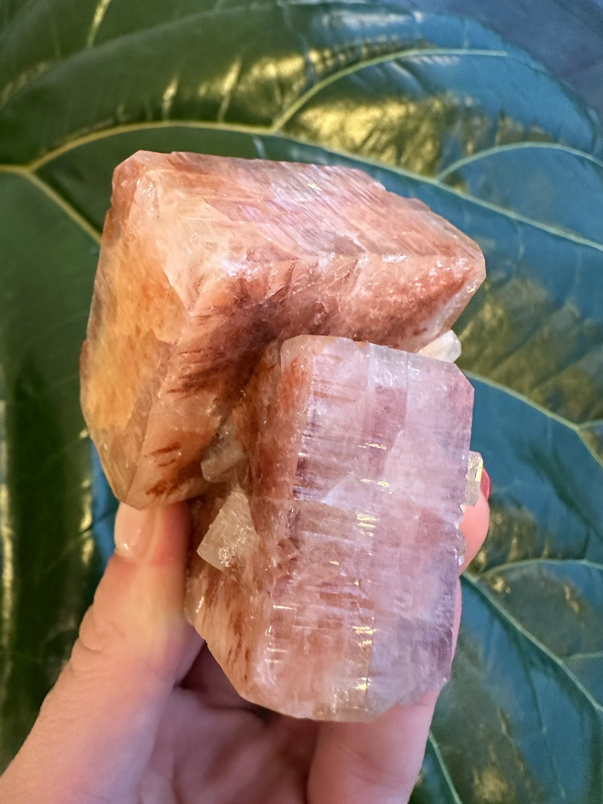Red Apophyllite Cube (Md) from Pune, India