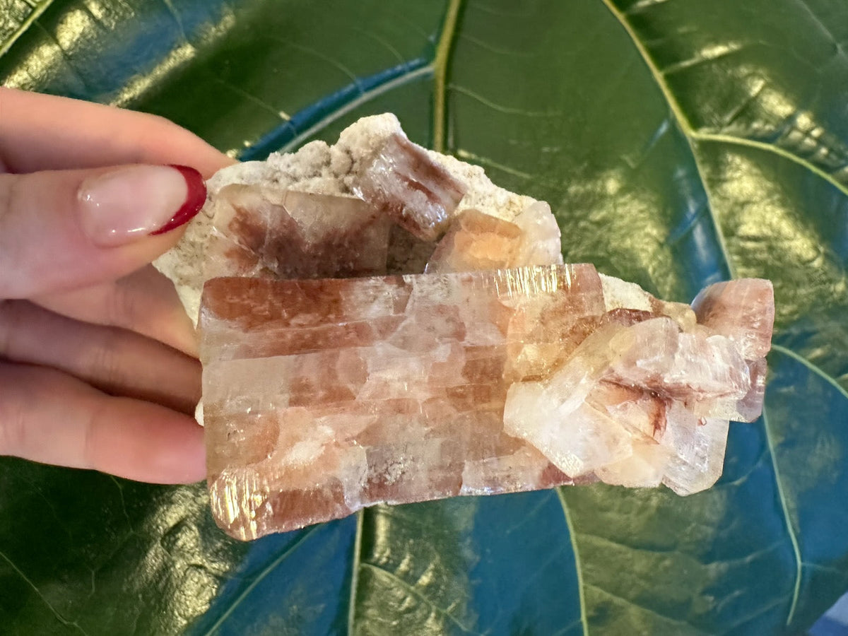 Red Apophyllite Cube on Matrix (Lg)