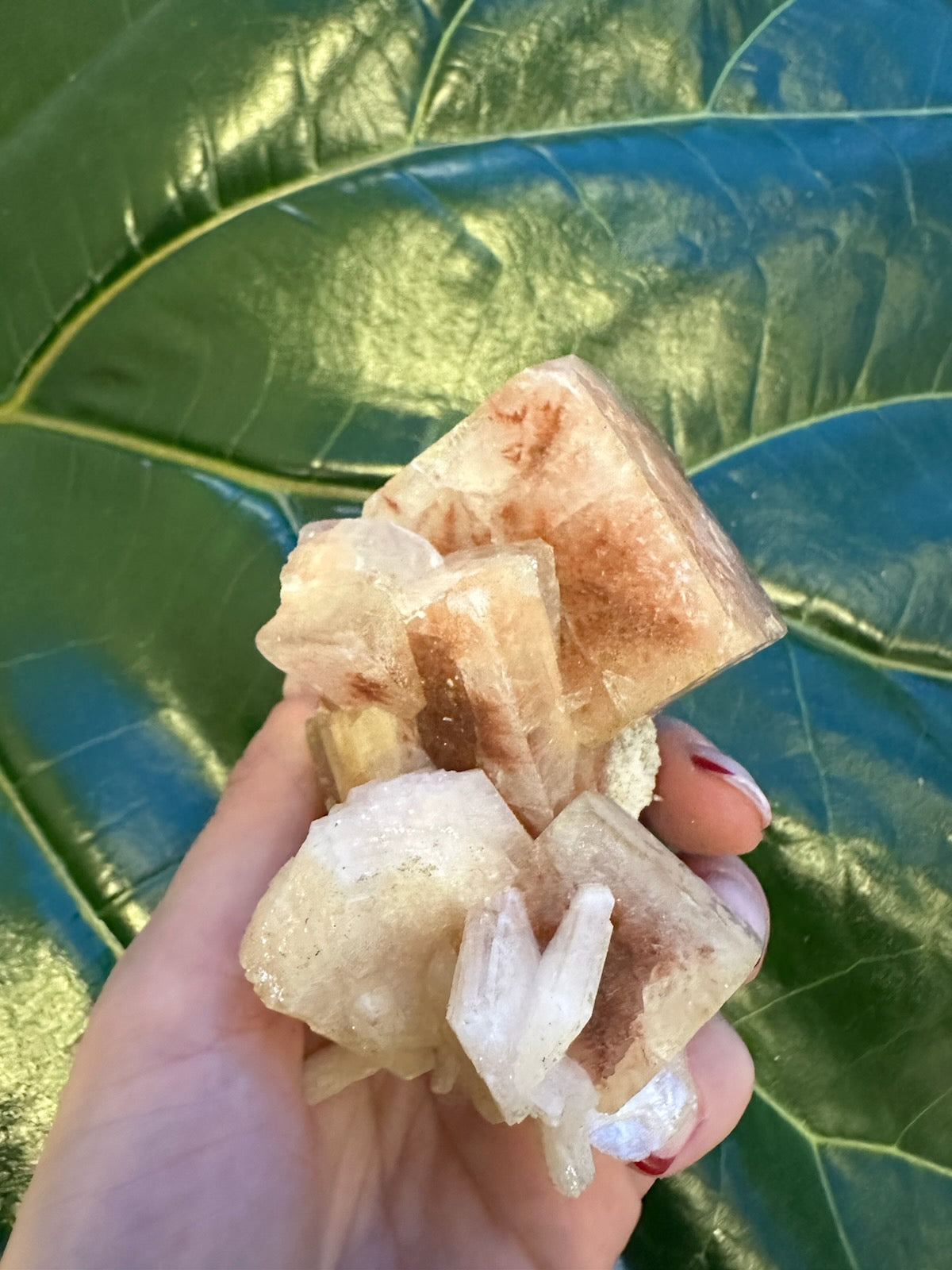 Red Apophyllite Cube on Matrix (Lg)