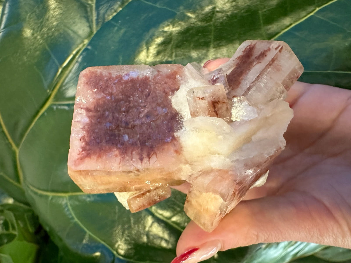 Red Apophyllite Cube (XL) from Pune, India